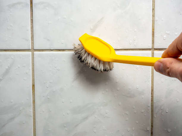 Old Tappan, NJ Mold Removal Company