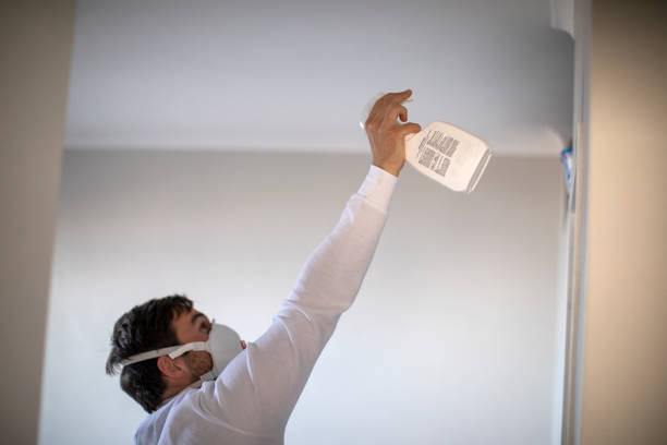 Best Mold Damage Repair  in Old Tappan, NJ