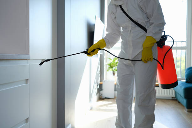 Best Mold Removal Company Near Me  in Old Tappan, NJ