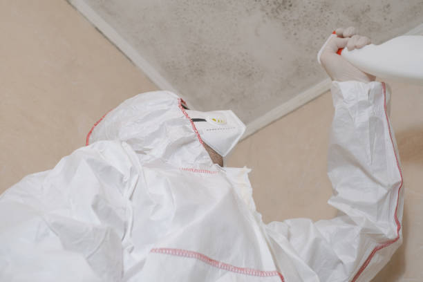 Certified Mold Removal in Old Tappan, NJ