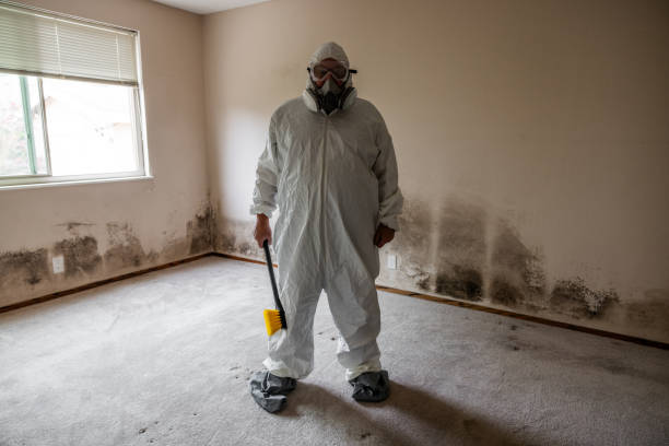 Best Certified Mold Removal  in Old Tappan, NJ